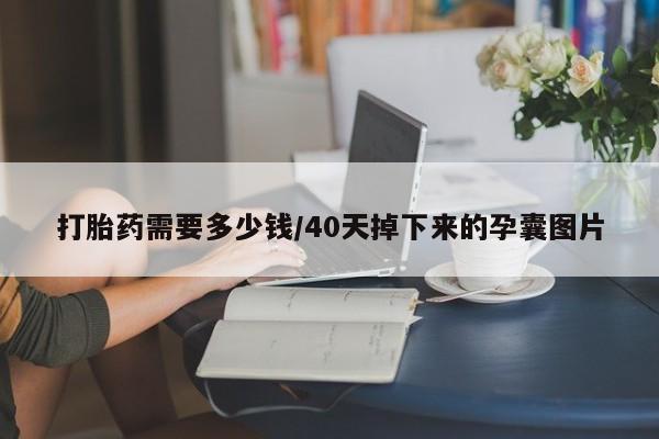 堕胎药咨询购买打胎药需要多少钱/40天掉下来的孕囊图片