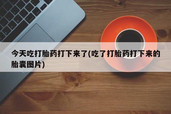 堕胎药咨询购买今天吃打胎药打下来了(吃了打胎药打下来的胎囊图片)